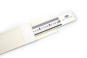 Brunson White Face Scale 6000 Series English Unit