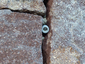 Rothbucher Systems Mini Prism