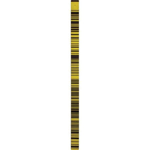 Leica GWCL60 Invar Barcode Scale